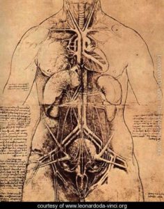 Da Vinci's sketch of female anatomy, which he detailed BEFORE the work of leading anatomist Vesalius, in a time where autopsy and human dissections were uncommon due to religious reasons.