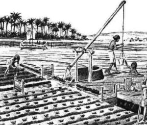 Early irrigation system in Egypt. this is known as a shaduf