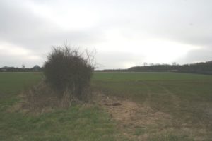 battlefield at Empingham/Tickencote Warren