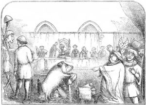 Illustration from Chambers Book of Days depicting a sow and her piglets being tried for the murder of a child. The trial allegedly took place in 1457, the mother being found guilty and the piglets acquitted. (Google images)